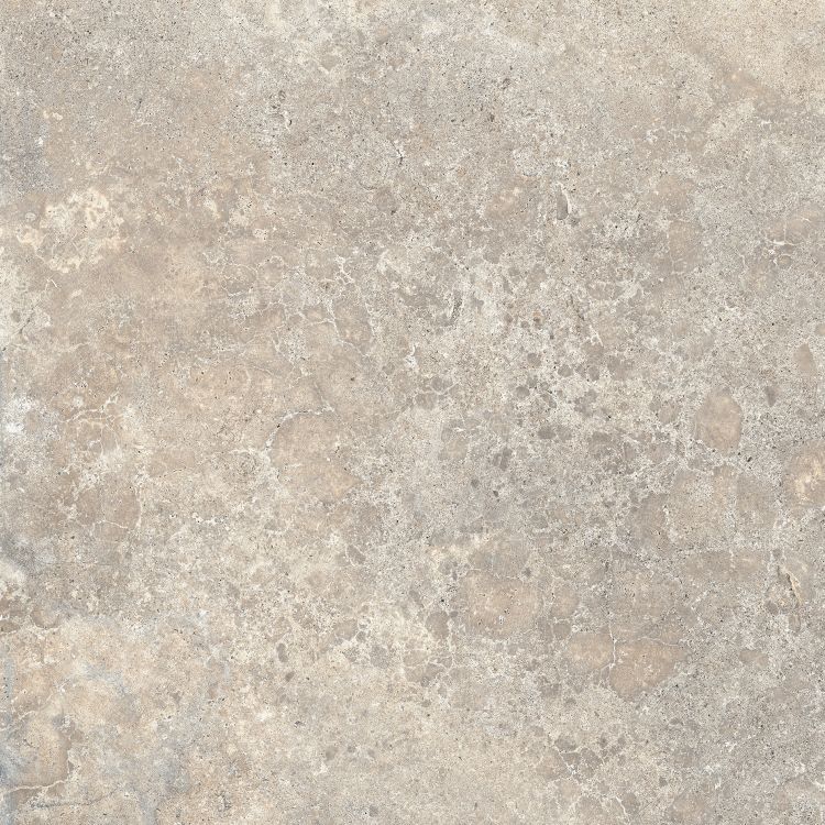 Beat Almond 24 x 24